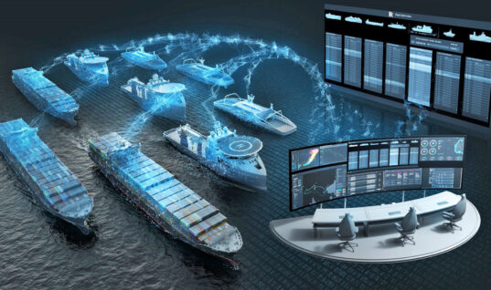 (Türkçe) The Future Shipping Company: Autonomous Shipping Fleet Operators